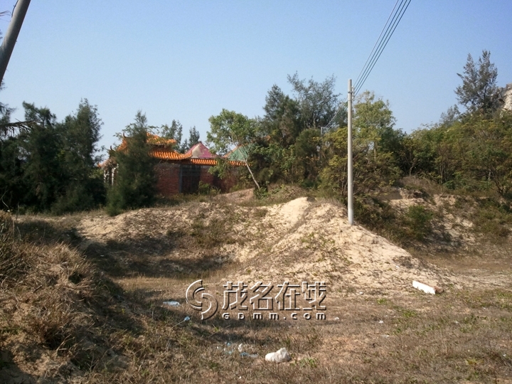 WP_006694.jpg