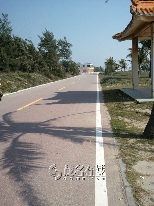 WP_006721.jpg