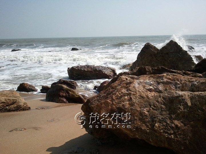 WP_006755.jpg