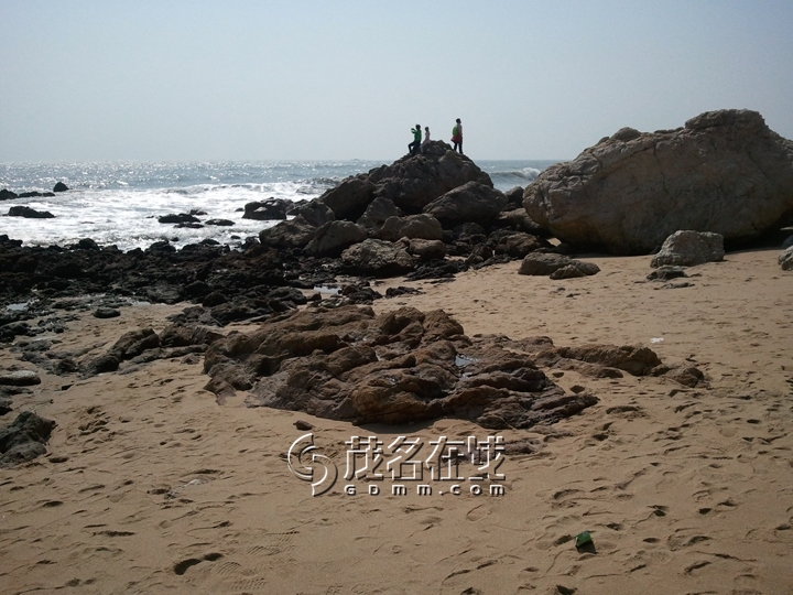 WP_006766.jpg