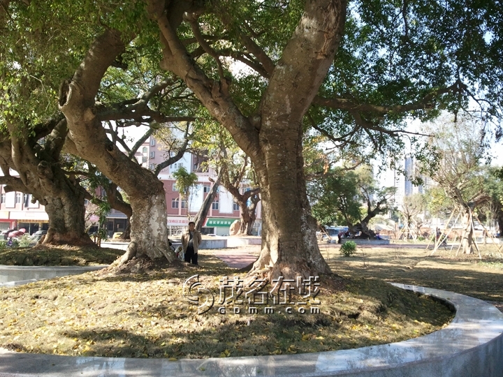 WP_006965.jpg