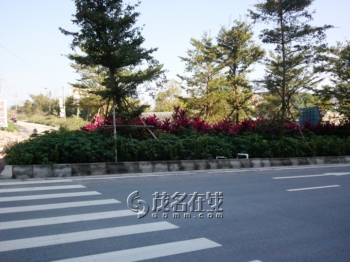 WP_006971.jpg