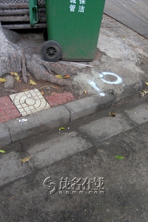 P50313-143316.jpg