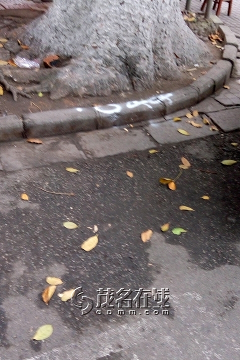 P50313-143152.jpg