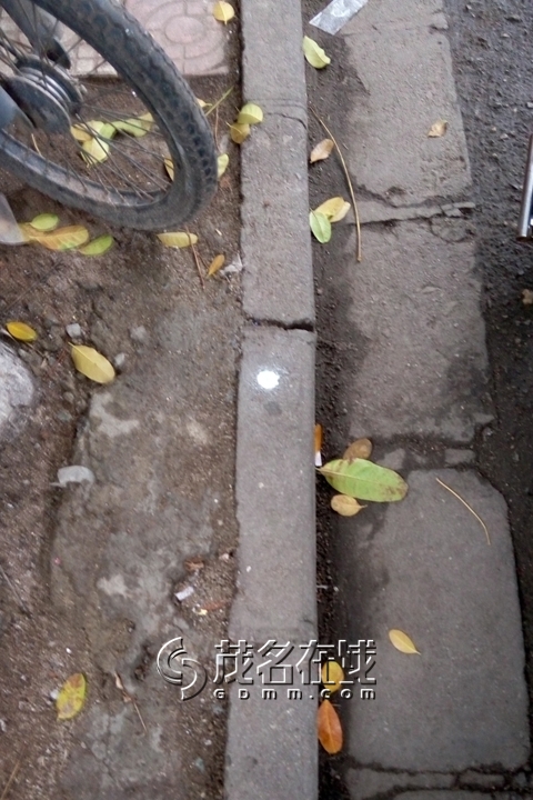 P50313-143436.jpg