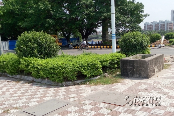 P50402-105915.jpg