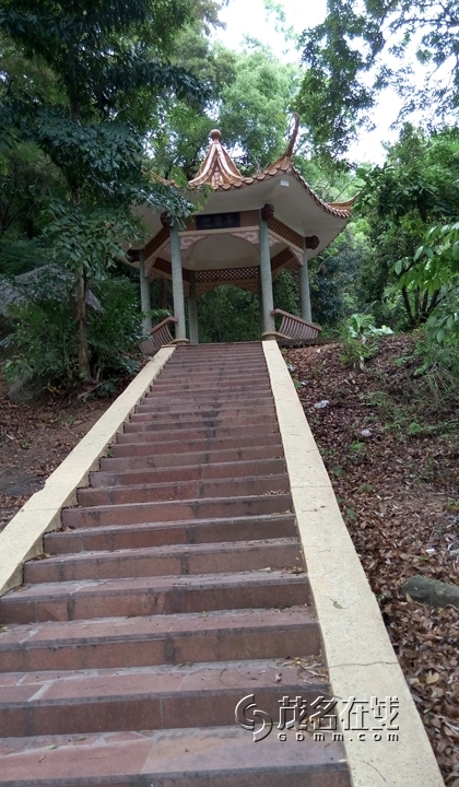 P50404-151852.jpg