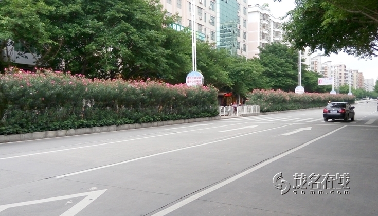 P50516-084413.jpg