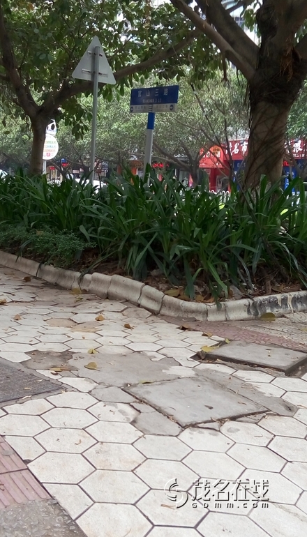 P50523-143000.jpg