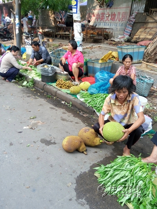 P50712-082309.jpg