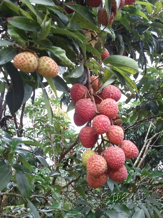 WP_003755.jpg
