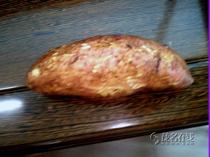 WP_004404.jpg