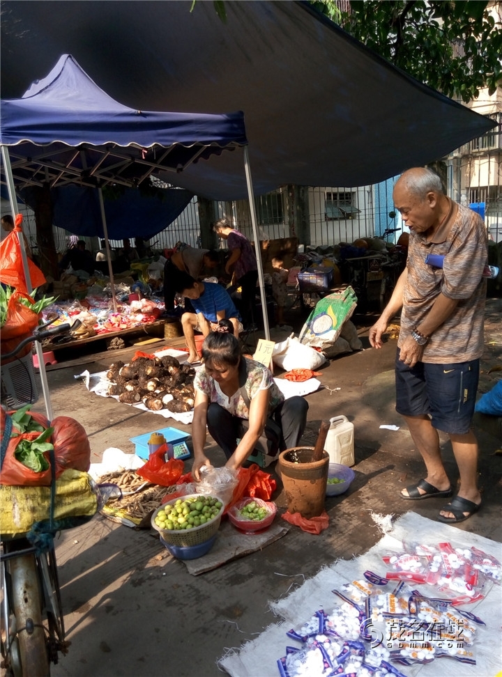 P50719-084405.jpg