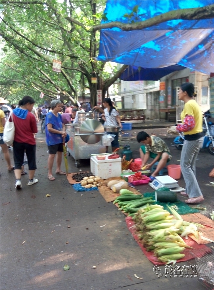P50719-083643.jpg