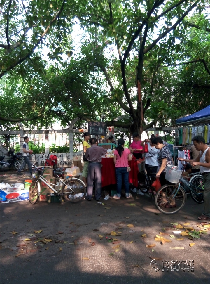 P50719-083654.jpg