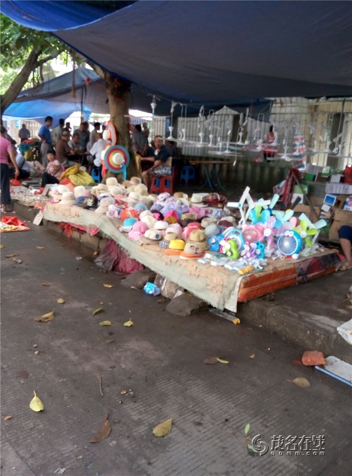 P50719-084141.jpg