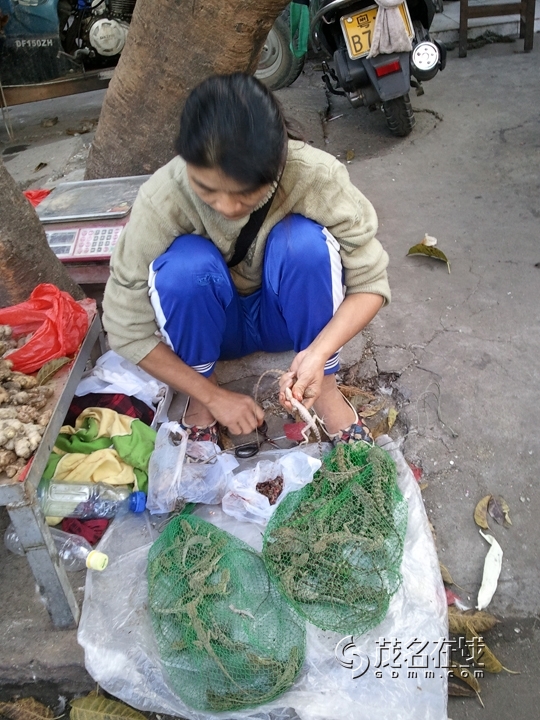 WP_006214.jpg
