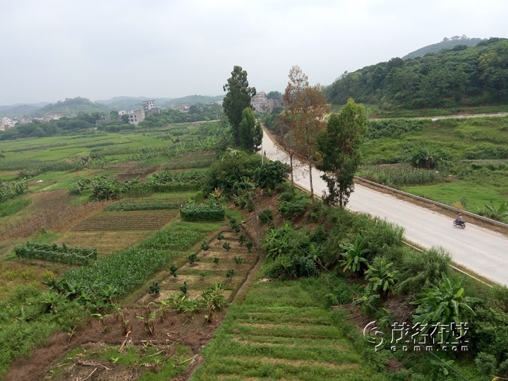 P50912-111845.jpg