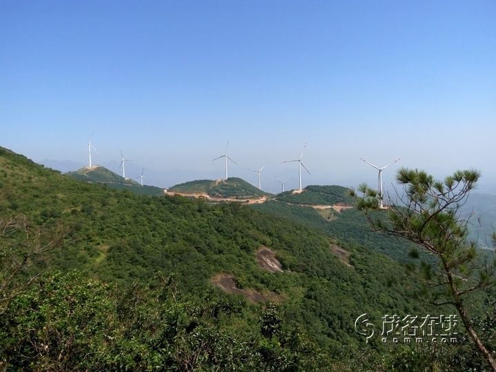 P51017-113556.jpg