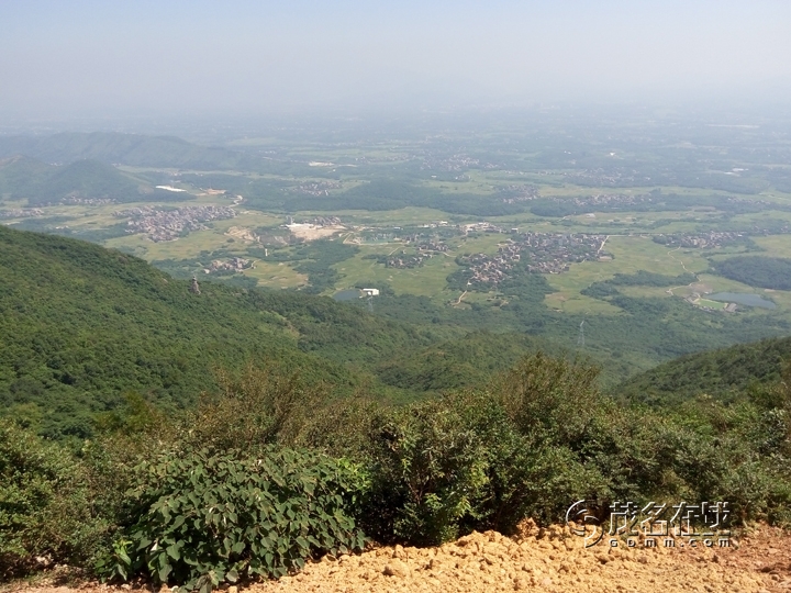 P51017-121324.jpg