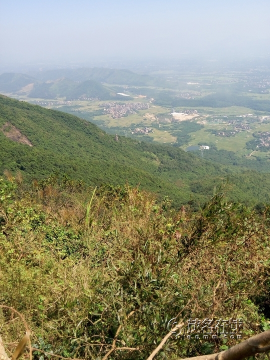 P51017-122914.jpg