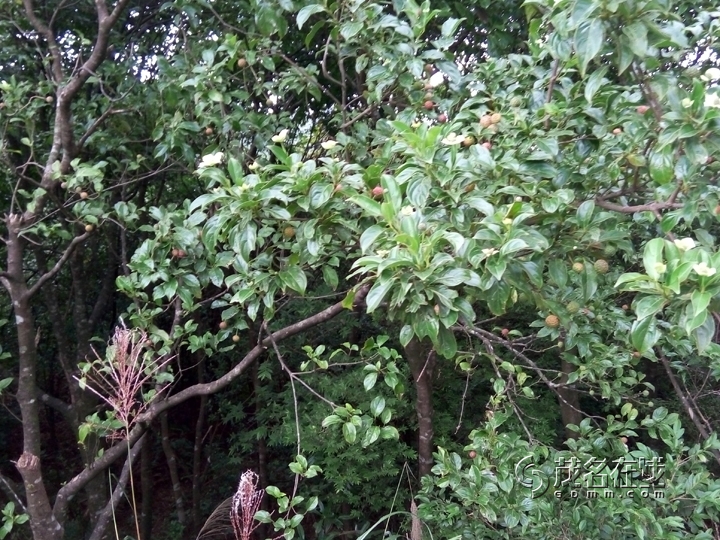 P51025-161305.jpg