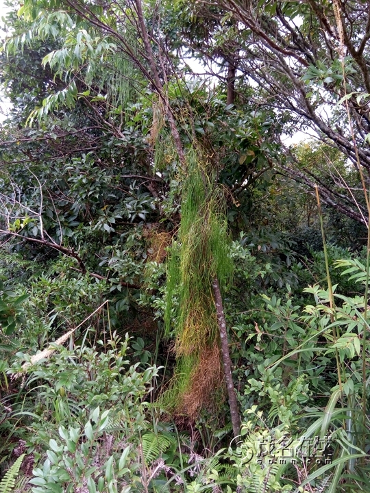 �ֻ���Ƭ2015.10P51025-160548.jpg