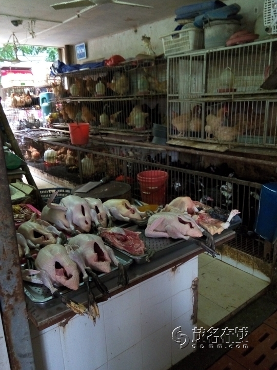 P51101-083927.jpg