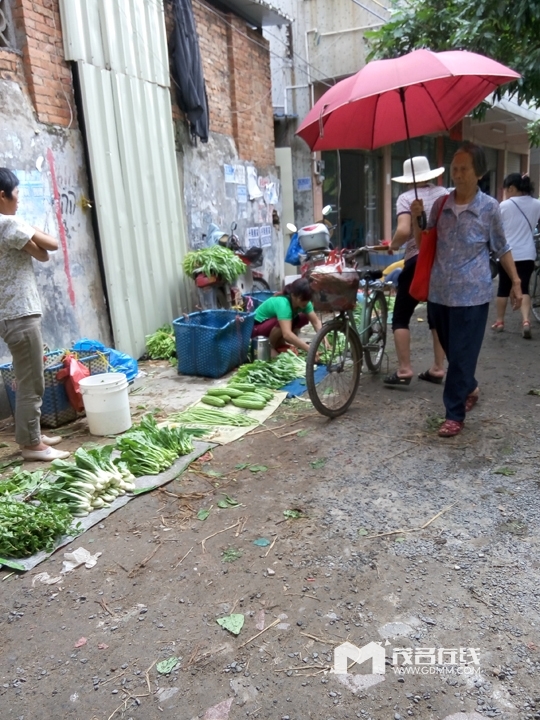 P60524-092015.jpg