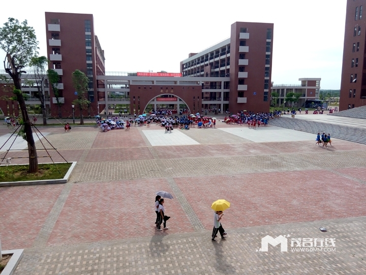 P60615-164144.jpg