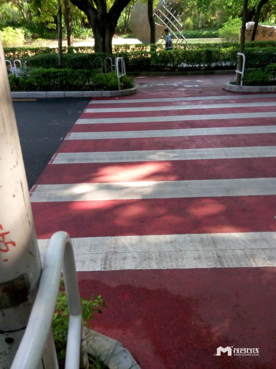 675772715549225432.jpg