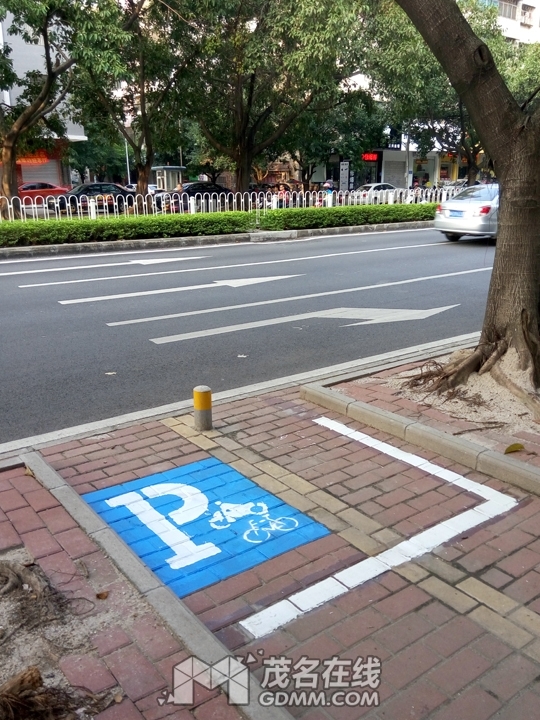 P61022-164423.jpg
