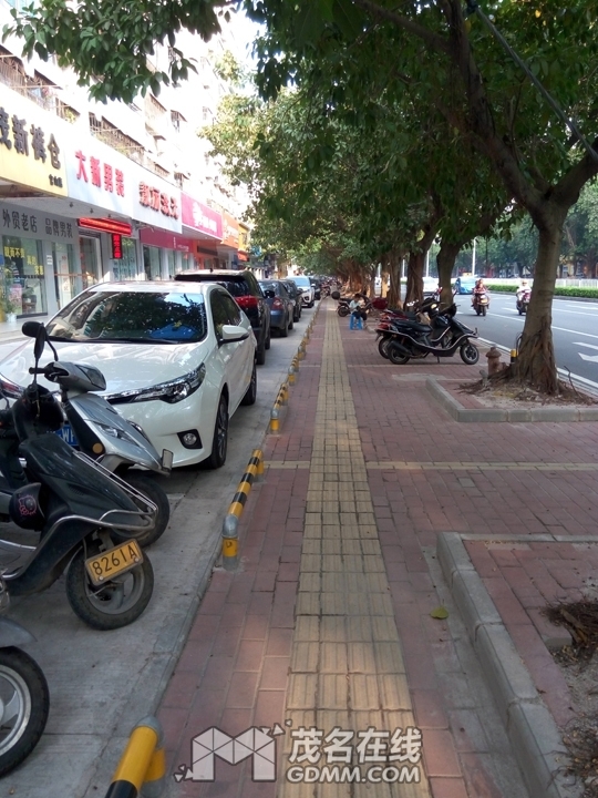 P61022-164658.jpg