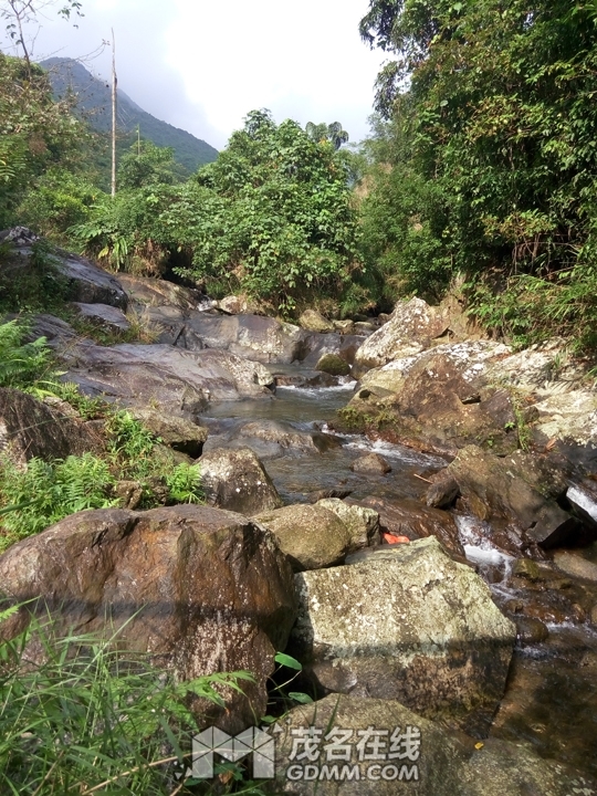 P61121-141931.jpg