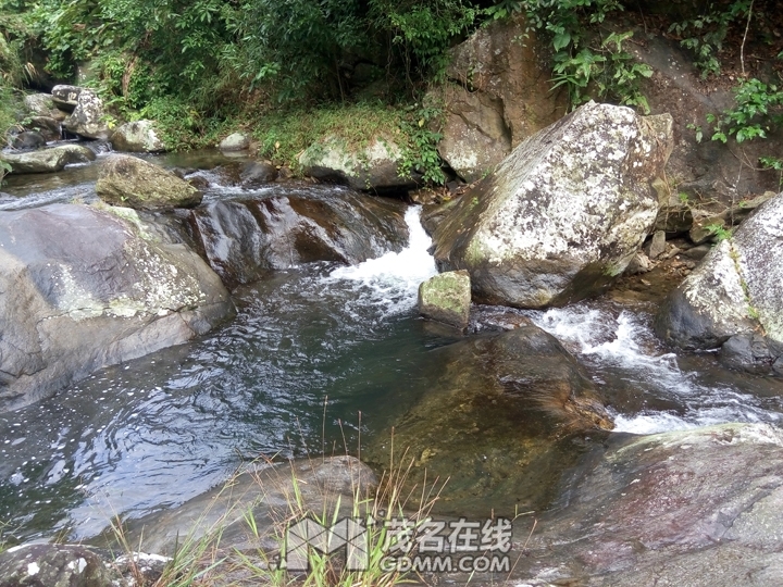 P61121-142151.jpg