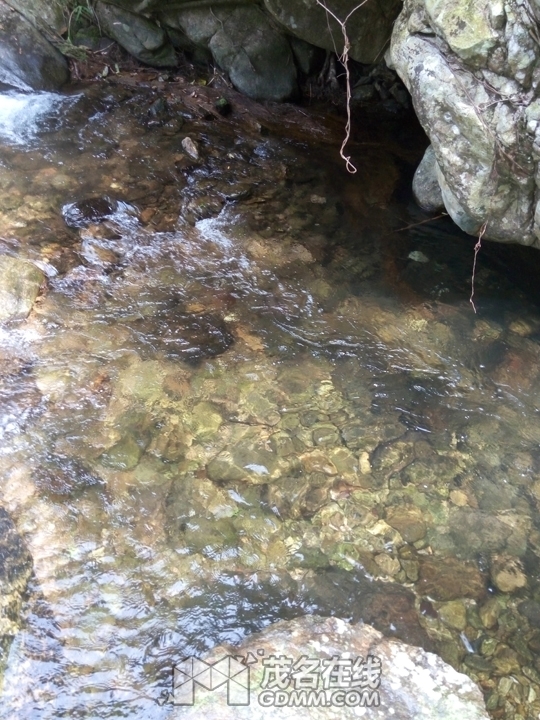 P61121-142028.jpg