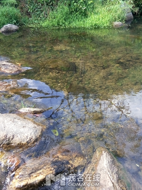 P61121-144840.jpg