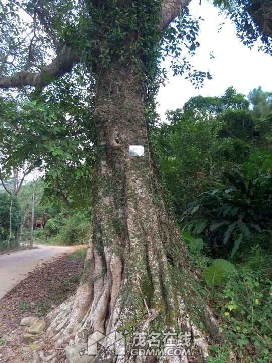 P61121-144507.jpg