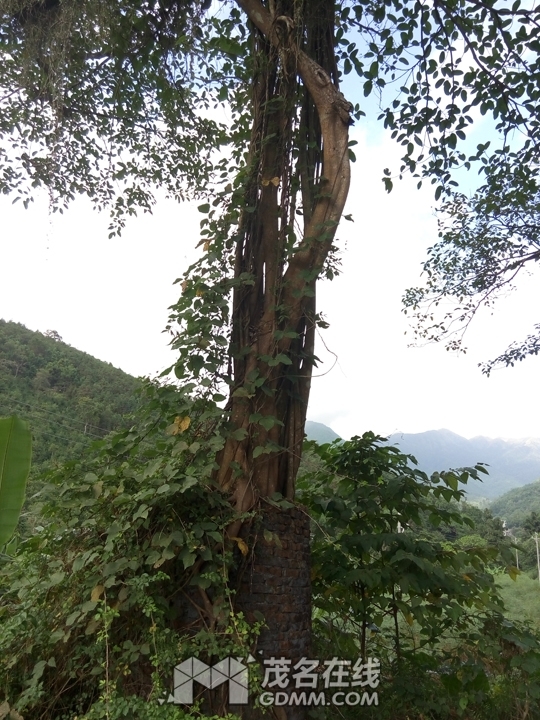 P61121-144517.jpg