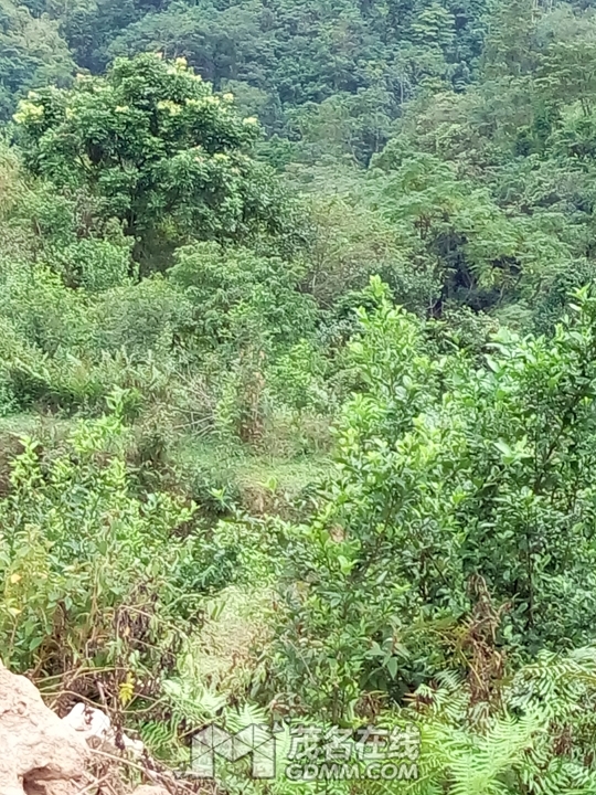 P61121-135836.jpg