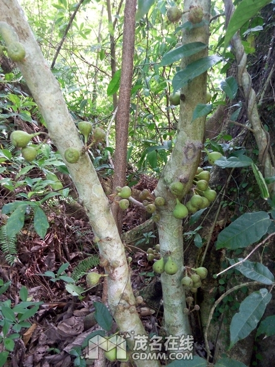 P61121-144645.jpg
