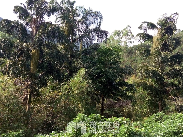 P61121-144957.jpg