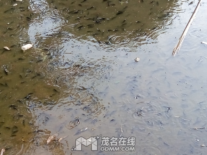 P61204-161915.jpg