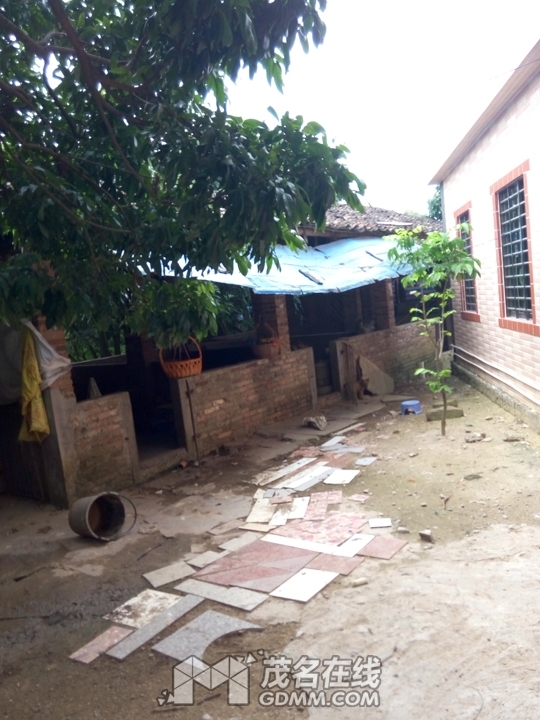 P61203-105800.jpg