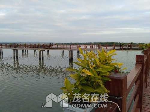 IMG_20170102_173404.jpg