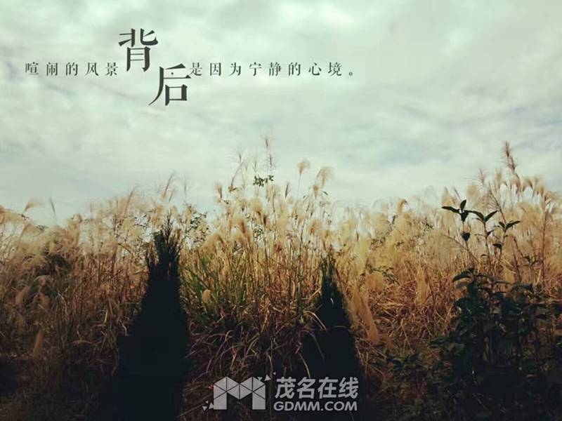 498411017254890681 2017-1-11.jpg