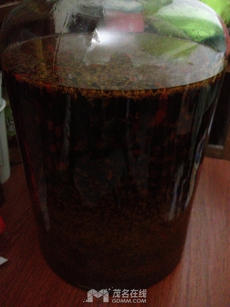 IMG_0242 2017-2-6.jpg