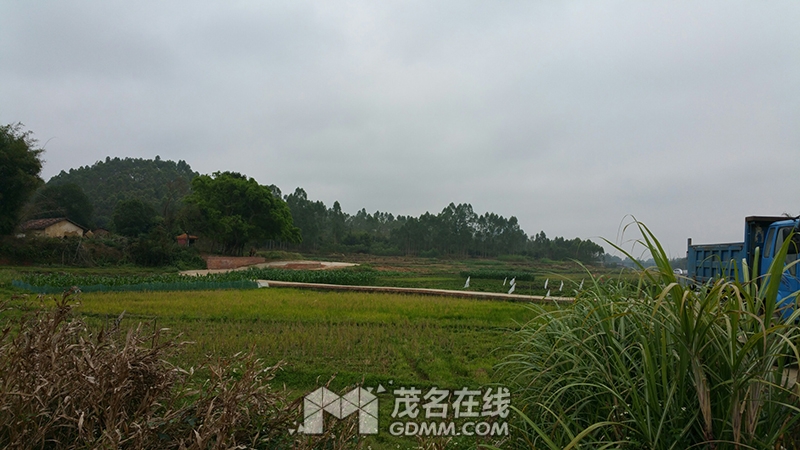 20170114_131056 2017-2-6.jpg