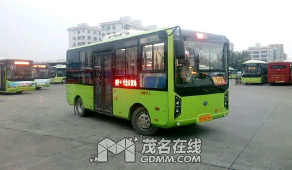 ���� (9).jpg