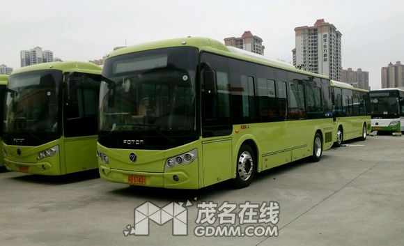 ���� (11).jpg